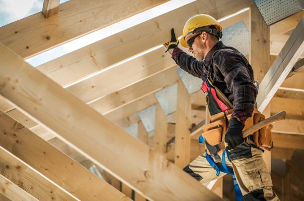 Roof Gutter Cleaning in Windsor, VA