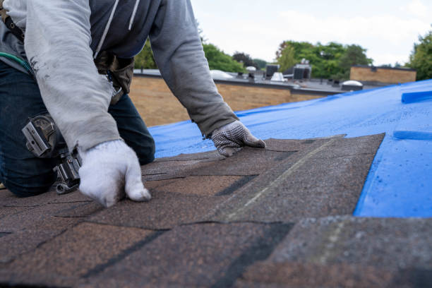 Quick and Trustworthy Emergency Roof Repair Services in Windsor, VA