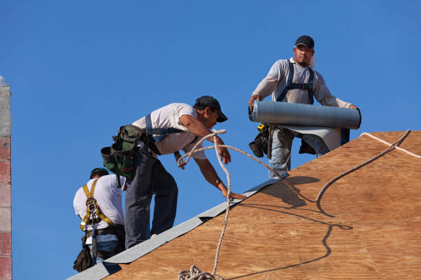 Best Roof Gutter Cleaning  in Windsor, VA